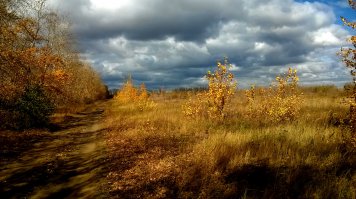 Немного осени 