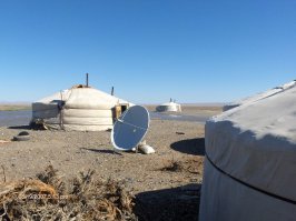 да есть у них все, и уже давно))) Сам там был.Любой, повторяю, любой арат способен купить нового крузака, но покупают почему то буханки и называют их "Тайга". Деньги для них не проблема.