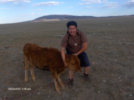 да есть у них все, и уже давно))) Сам там был.Любой, повторяю, любой арат способен купить нового крузака, но покупают почему то буханки и называют их "Тайга". Деньги для них не проблема.