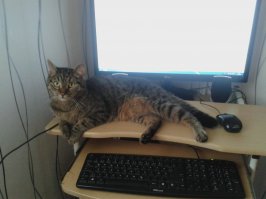 Вот мой придурок ;)