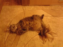 Вот мой придурок ;)