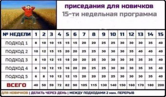 Занимаюсь именно по этой программе уже 9-я неделя, действительно работает.Результат очень заметен. Как было уже сказано ниже, нужен комплекс. Вот остальные упражнения: