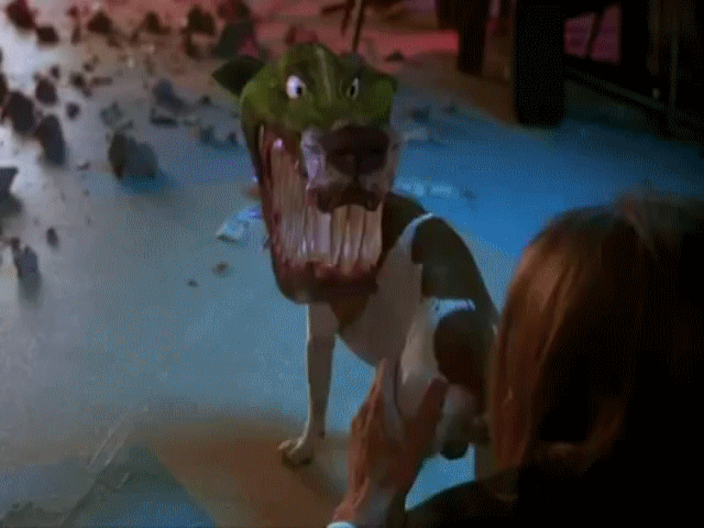 Песни щенка из маски. Майло из маски с Джимом Керри. Маска 1994 Майло. Собака Джима Керри из маски.