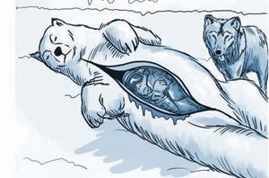 22 вещи, которые не дадут вам замерзнуть