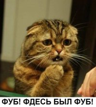 8 актеров, пожертвовавших зубами ради киноролей (9 фото)