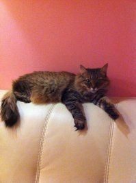 моя старушка позирует