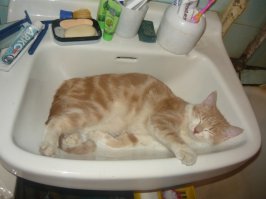 А этот соседей. Даже "под водой" не уходит с..ка такая...