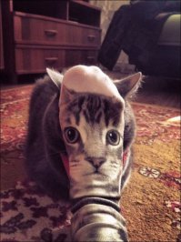 Это фото вынесло мозг на несколько секунд!