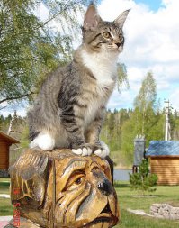 Фотоподборка за 06.10.2015