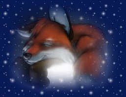 15 вещей, просто необходимых каждому любителю лис