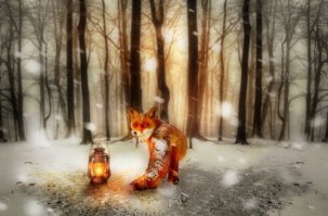 15 вещей, просто необходимых каждому любителю лис