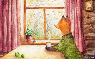 15 вещей, просто необходимых каждому любителю лис