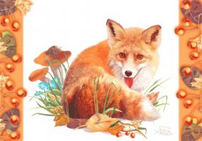 15 вещей, просто необходимых каждому любителю лис