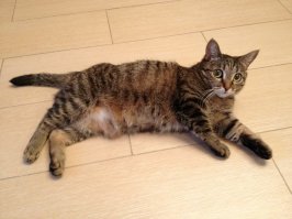 а мы тоже выложимся, что мы-хуже всех?)