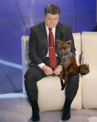 Пожалуйста: