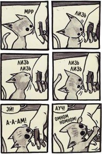 Трогательное воссоединение львицы с человеком, который помог её выходить