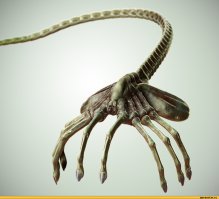 Немного жизнью побило, а так похож вроде...