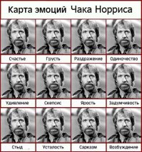 Ну и кто говорит, что собаки не умеют выражать свои эмоции! 