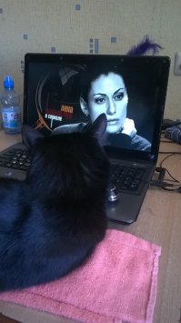 любительница полежать на ручках