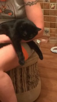 любительница полежать на ручках