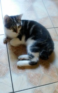 одна из моих подопечных