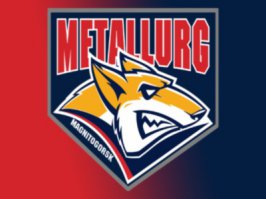 Мне вот эта лиса очень нравится)