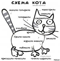 Смешные комиксы, которые поймут те, у кого есть кот
