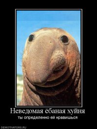 Из китайской реки выловили неопознанное существо