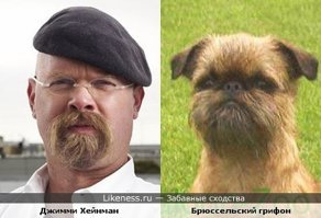 18 смешных собак, которые выглядят как нечто другое
