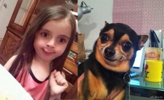 18 смешных собак, которые выглядят как нечто другое