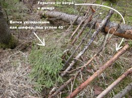 Ты, по-ходу, "сооружения" только на картинках видел, как и большинство тут пишущих "нудно", "бесполезно" и т. п. Из одного такого небольшого ствола можно соорудить нормальный шалаш чтоб переночевать там (если двускатный из веток сделать), или от ветра костёр закрыть (с подветренной стороны веток навалить - бивак называется), или от дождя укрыться (брезент натянуть, если он в наличии, разумеется).
Считаешь, что это тратой сил и времени?.. Ну, сходи без топора в лес! Первую ночь комаров покормишь; вторую - под дождём поспишь; на третью - зубами такой ствол грызть будешь, чтоб согреться.
Такой ствол опирается на пригорок (или на сук дерева, как на картинке), по бокам наставляются ветки и тёплый шалаш готов - на неделю хватит.
P. s.: Фоток таких "сооружений" не нашёл, но что-то похожее: