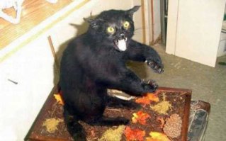 А как же эти номинанты на премию: "самые креативные образы"???