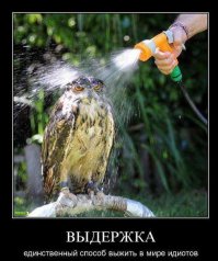 Советская школа подготовки водителей в наши дни