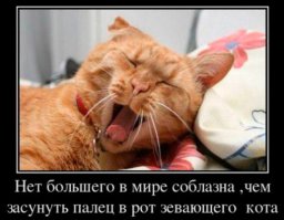 Теперь есть!