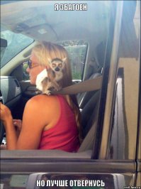 Очередная подборка автоприколов