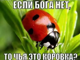 Аметисты