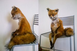 И первое место занимает .....!!!!