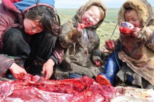 Мы всеядны. А вот жители крайнего севера плотоядны по определению, не жрать же им ягель.