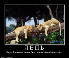 Демотиваторы