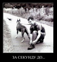 За секунду до неудачи