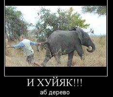 Подборка демотиваторов