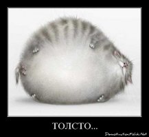 Подборка демотиваторов