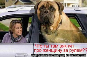 Женщины за рулем