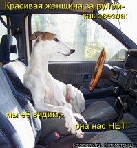Женщины за рулем