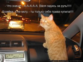 Простим..