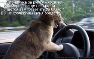 Женщины за рулем
