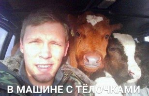Прикольные картинки