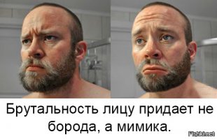 Почему не стоит сбривать бороду