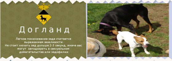 Как здороваются люди в разных странах мира