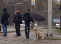 Ч - Человечность